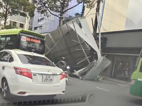 Nha toc mai, cay xanh nga do trong con mua dau mua o TP.HCM hinh anh