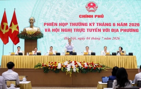 Chinh phu yeu cau sap xep xa, phuong theo chu truong cua Bo Chinh tri hinh anh