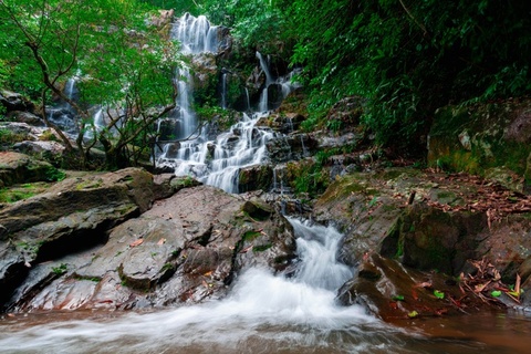 Hoa minh vao tour du lich sinh thai tai Vuon thuc vat Quang Binh hinh anh