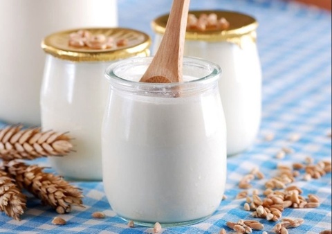 5 thuc pham giup tang mien dich, phong benh tuoi gia hinh anh