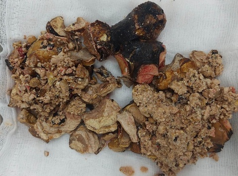 Soi than pho bien nhung de bi bo quen hinh anh