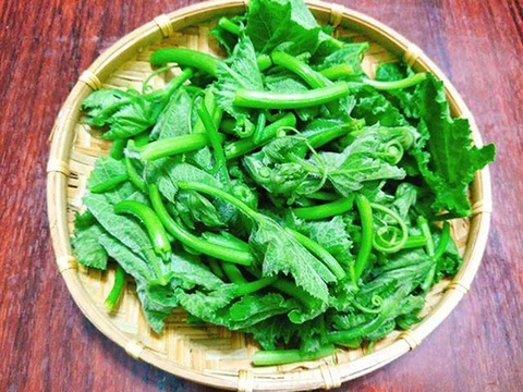 Loai rau ban day cho giup on dinh huyet ap, tot cho tieu hoa hinh anh