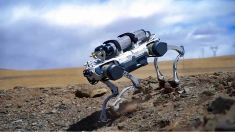 Robot cho xuat hien day dac o Singapore hinh anh