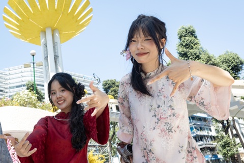 Chien luoc duong da toan dien trong 2 tuan de don Tet hinh anh