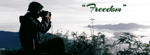 Nơi giao hòa của mây, núi điểm thêm những rặng “trúc phất trần” đầy thi vị.