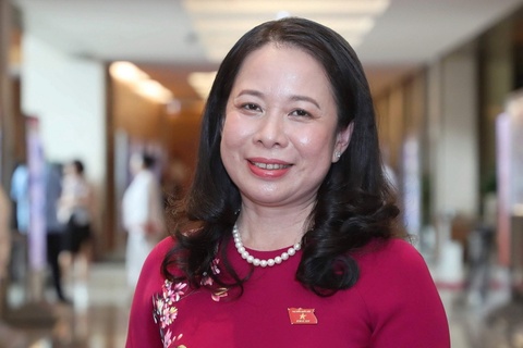 Tieu su ba Vo Thi Anh Xuan, tan Bi thu Trung uong Dang hinh anh