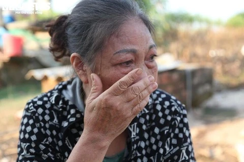 2 nam lien dinh sieu bao, nguoi trong dao Nhat Tan, Ha Noi bat khoc hinh anh