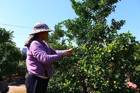 Khach xuong tien dat coc som quat Tet Binh Ngo vi lo 'chay hang' hinh anh