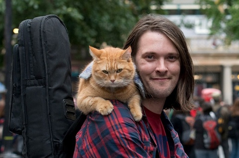A Street Cat Named Bob anh 1