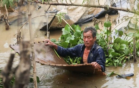 Se tiep tuc cong bo sao ke danh sach ung ho dong bao thiet hai do bao hinh anh