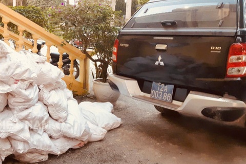 Thu giu 1 tan chan lon boc mui tuon lau vao Viet Nam hinh anh