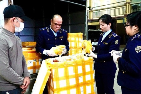 Phat hien vu van chuyen chan ga rut xuong, ga u muoi 'troi noi' hinh anh