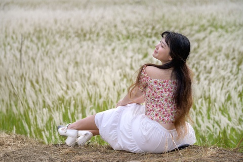 Vao mua check-in, ngam hoang hon tai canh dong co lau TP.HCM hinh anh