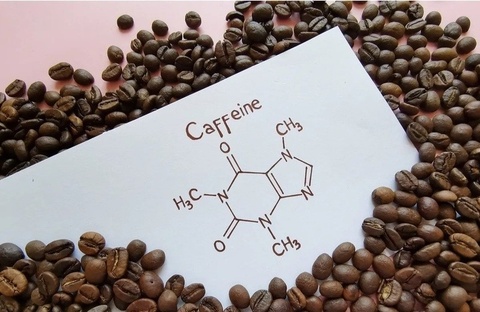 Caffeine bi thu giu trong vu Truong khoa Duoc buon lau la chat gi? hinh anh