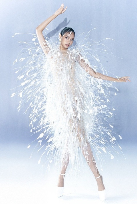 Lại Thị Mai Hoa ảnh 1 Lai Thi Mai Hoa anh 1