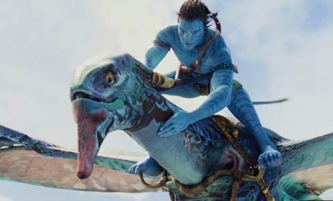 'Avatar 3' thu 200 ty dong o Viet Nam hinh anh