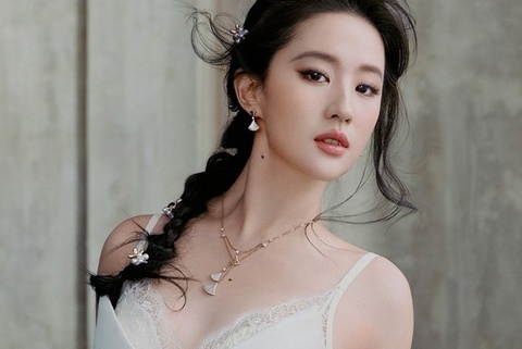 Luu Diec Phi doc than suot 8 nam qua hinh anh