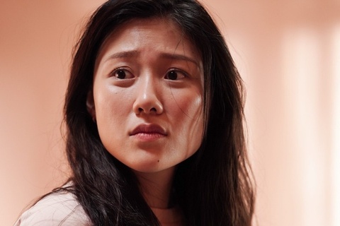 Ly do phim cua em gai Tran Thanh tham bai hinh anh