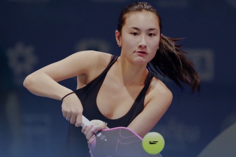 Don vi phan phoi bong pickleball o Viet Nam xin loi hinh anh