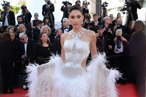 Vay ao Viet tren tham do Lien hoan phim Cannes 2026 hinh anh