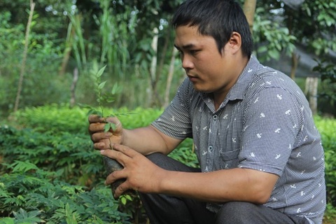 Trần Kim Việt đang chăm chút từng giống cây tại vườn ươm của mình.