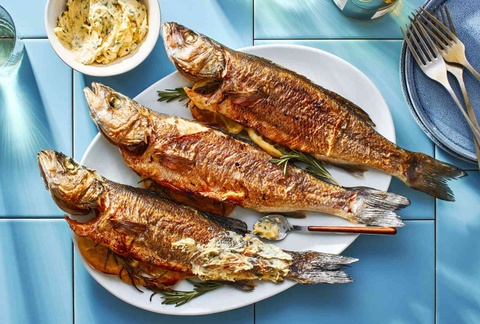 Bộ phận bẩn của cá ảnh 2 Bo phan ban cua ca anh 2