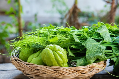 Viet Nam co loai rau dan da duoc goi la 'rau rong', an nhieu cuc bo hinh anh