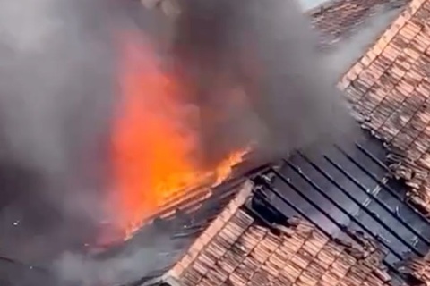 Chay lon o cu xa Vinh Hoi hinh anh