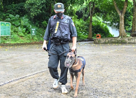 Huy dong cho nghiep vu tim du khach mat tich trong rung Cuc Phuong hinh anh