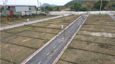 Giam doc 've du an ma' o Ha Noi, phan thanh 53 lo dat hinh anh