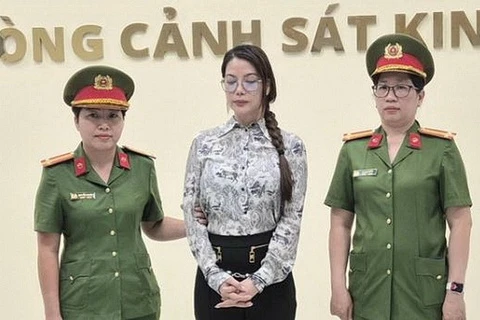 Luat su phan tich yeu to nuoc ngoai trong vu dien vien Truong Ngoc Anh hinh anh