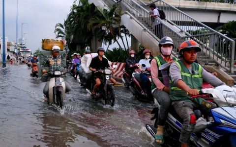 Nhung vung sap mua dong o TP.HCM, dinh trieu lich su ket thuc khi nao? hinh anh