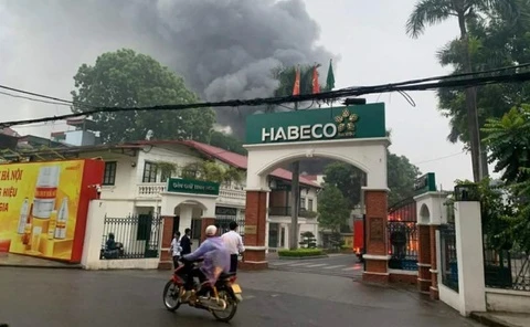 Chay lon tai Nha may Bia Ha Noi Habeco hinh anh