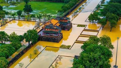 Hoang thanh Hue xuat hien sap lun hinh anh