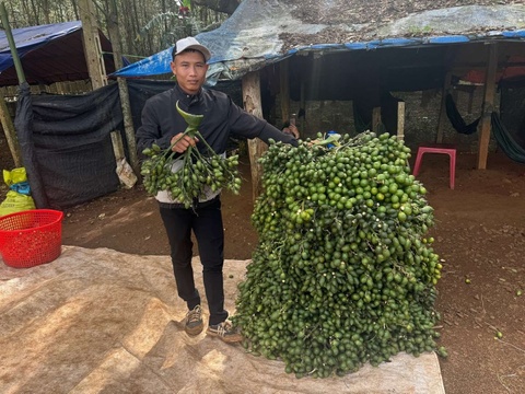 Dong thai cua thuong lai Trung Quoc khien gia cau tuoi lao doc hinh anh