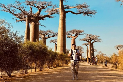 Toi den rung 'cay lon nguoc' o Madagascar hinh anh