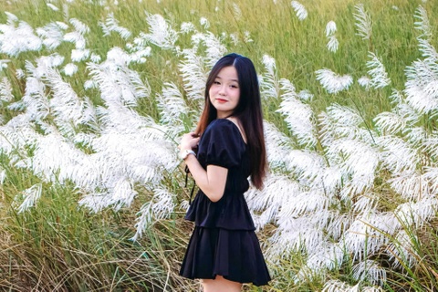 Check-in canh dong lau trang muot o Da Nang hinh anh