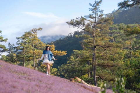 Co hong Da Lat ruc ro sau mua lon, sat lo hinh anh