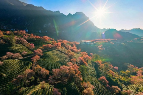 Ngam mai anh dao doi che o long Sa Pa mua cuoi truoc khi bi di doi hinh anh