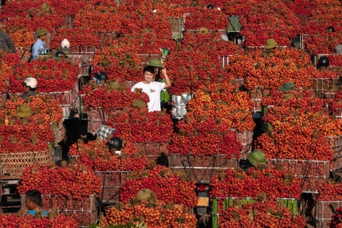 Canh 'tac duong' mua vai thieu chin ro nhat trong nam hinh anh