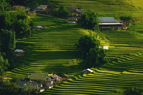 Goc hoang so con sot lai cua Sa Pa hinh anh