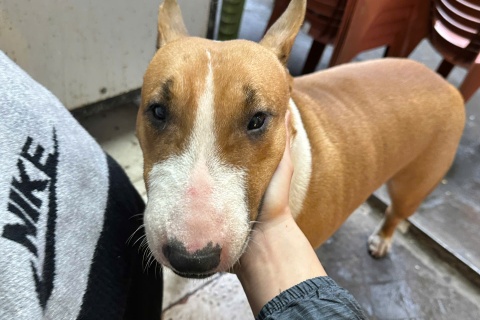 Quan nuong co cho giong game 'Quan pho anh Hai' tuyen them nhan vien hinh anh