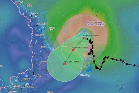 Bao so 15 Koto suy yeu, TP.HCM co mua dong va gio giat manh hinh anh
