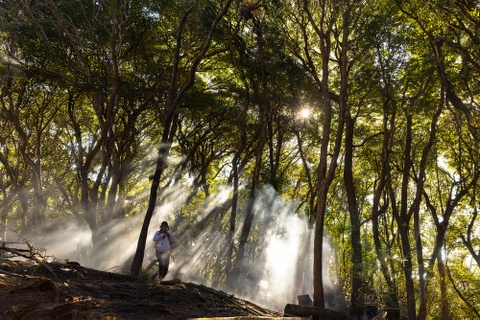 Cam trekking tu phat mot so dinh nui cao nhat Viet Nam hinh anh