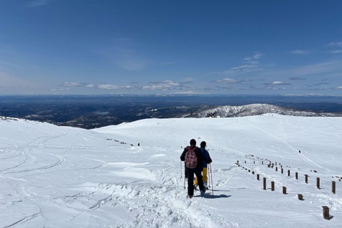 Nu khach Viet tu vong tren nui tuyet Nhat Ban hinh anh