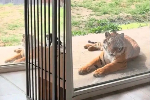 Phong khach san 'view ho' tai so thu Trung Quoc hinh anh