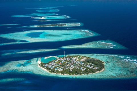 Dieu tra tham kich lan bien khien 5 du khach thiet mang o Maldives hinh anh