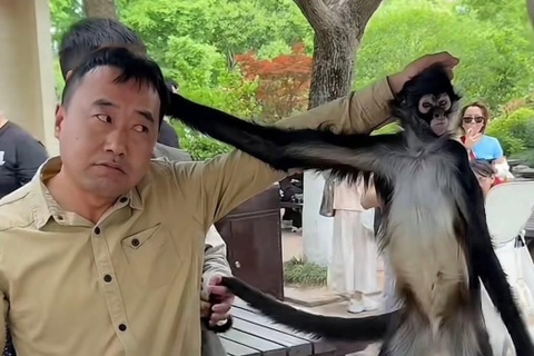 Khi nhen o Trung Quoc thanh 'hien tuong' sau man giat toc nhan vien hinh anh
