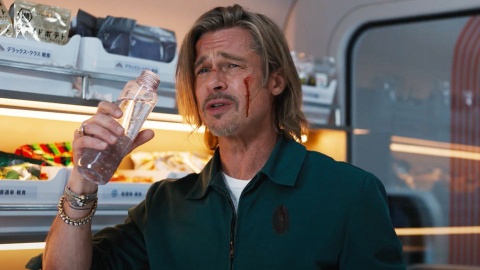 Brad Pitt anh 2