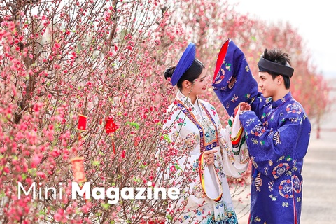 Rung mai, dao no ro bien Can Gio thanh ‘studio’ check-in doc dao hinh anh